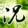 王子变青蛙